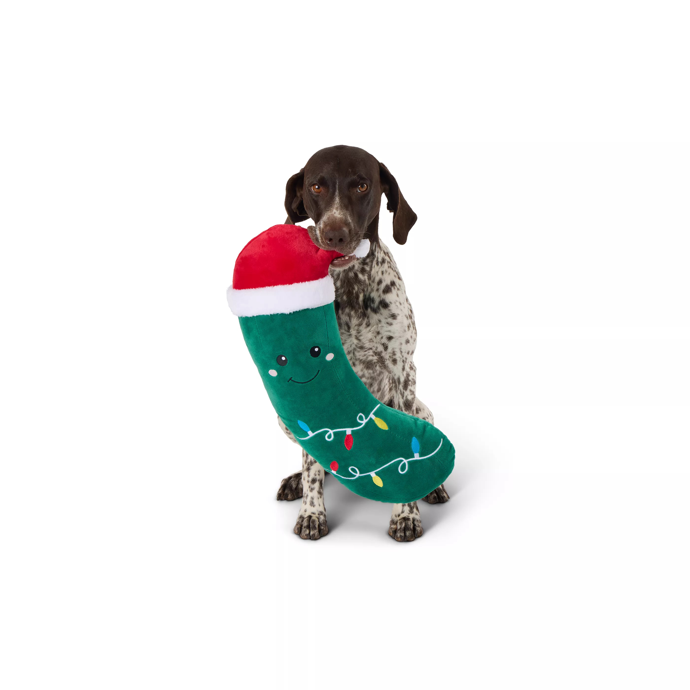 Merry & Bright&trade; Plush Holiday Pickle Dog Toy | PetSmart