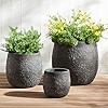 Wallowa 17.7"+13.3"+9.5" Dia Round Concrete Planter Set of 3, Large Outdoor Planter, Black with G... | Amazon (US)