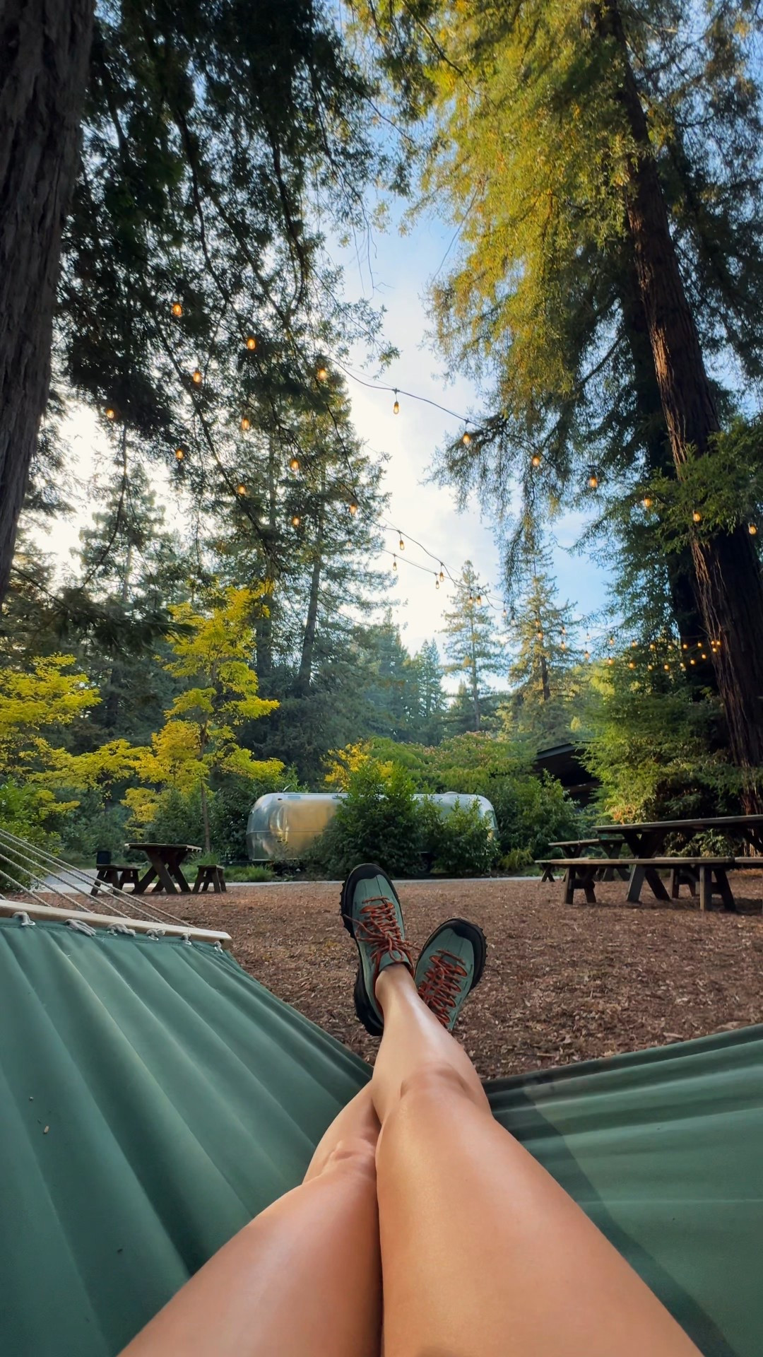 if you need me I’ll be here 