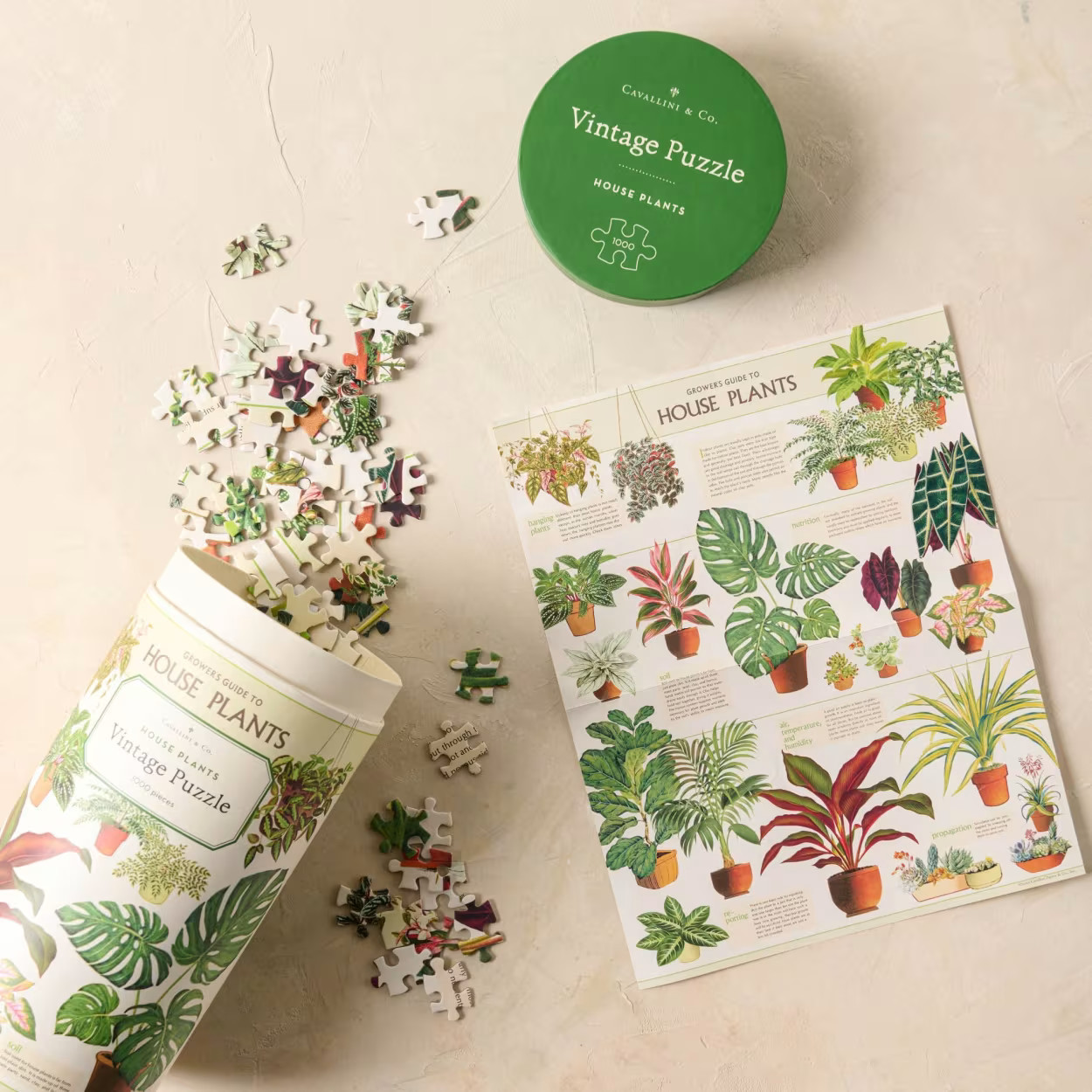 House Plants Vintage Puzzle | Magnolia