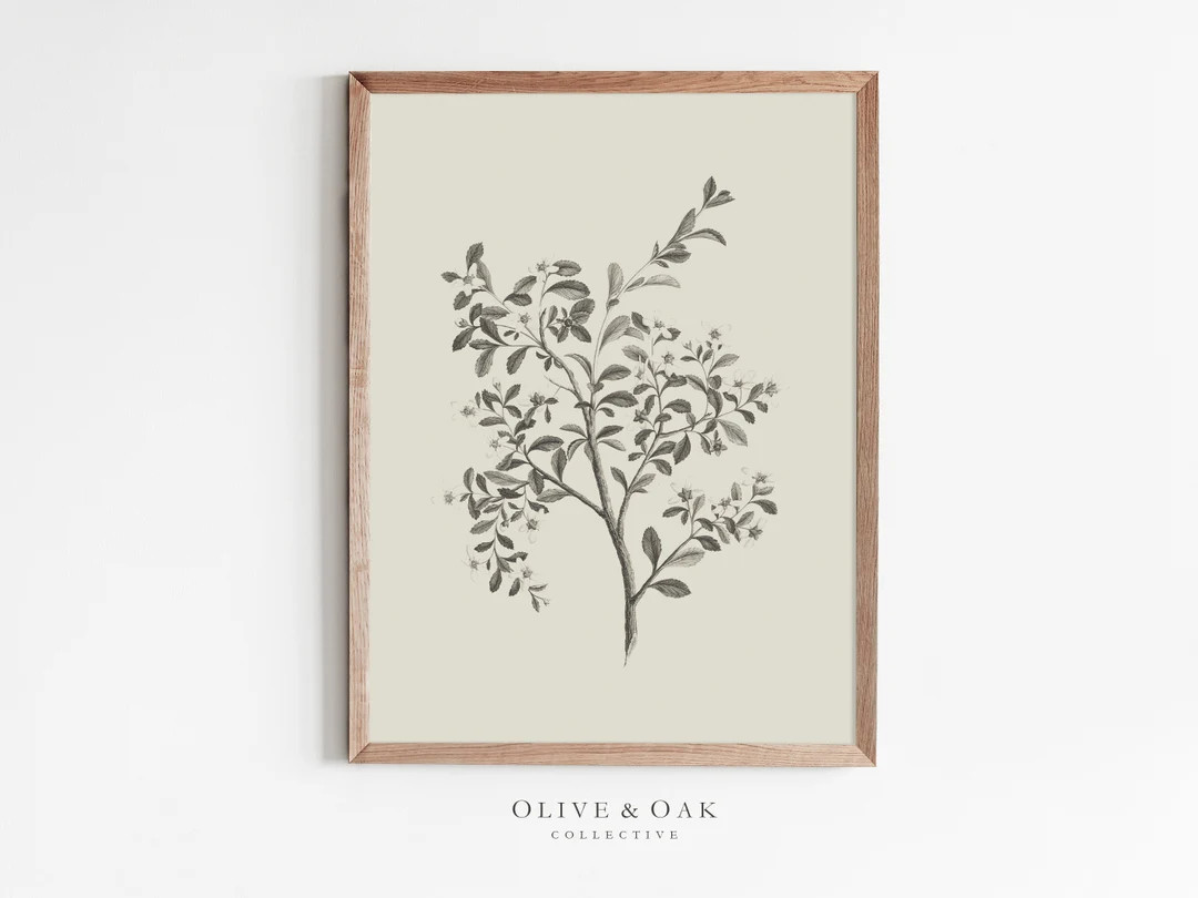 Botanical Wall Art / Simple Branch Drawing / Neutral Artwork PRINTABLE / Downloadable Flower Prin... | Etsy (US)