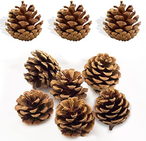 25pcs Christmas Natural Pine Cones Large Pinecones Christmas Tree Hanging Ornaments DIY Crafts, H... | Amazon (CA)