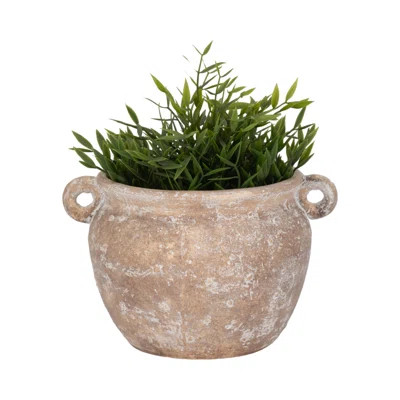 Hooge Textured Stoneware Jug Planter | Wayfair North America
