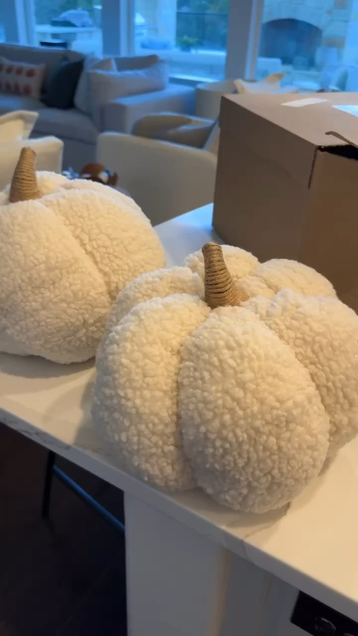 Pottery Barn inspired Fall decor from Walmart! Under $6!!!  

 #LTKHoliday #LTKVideo #LTKFindsUnder50