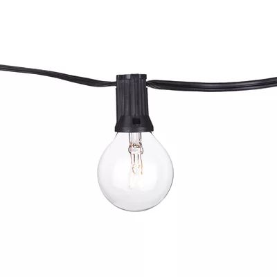 11' Outdoor 10 - Bulb Globe String Light Aspen Brands Finish: Black | Wayfair North America