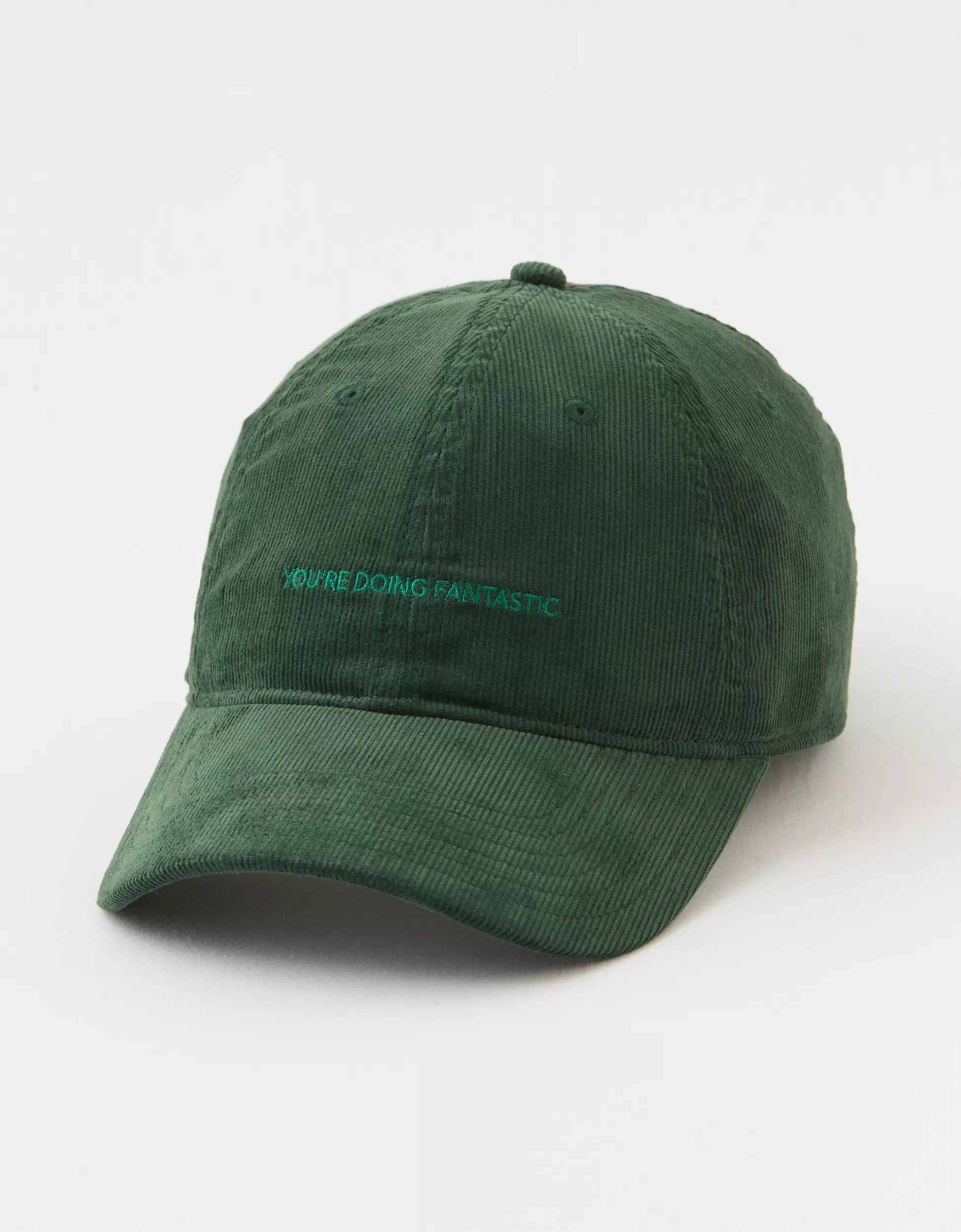 OFFLINE By Aerie Corduroy Baseball Hat | Aerie