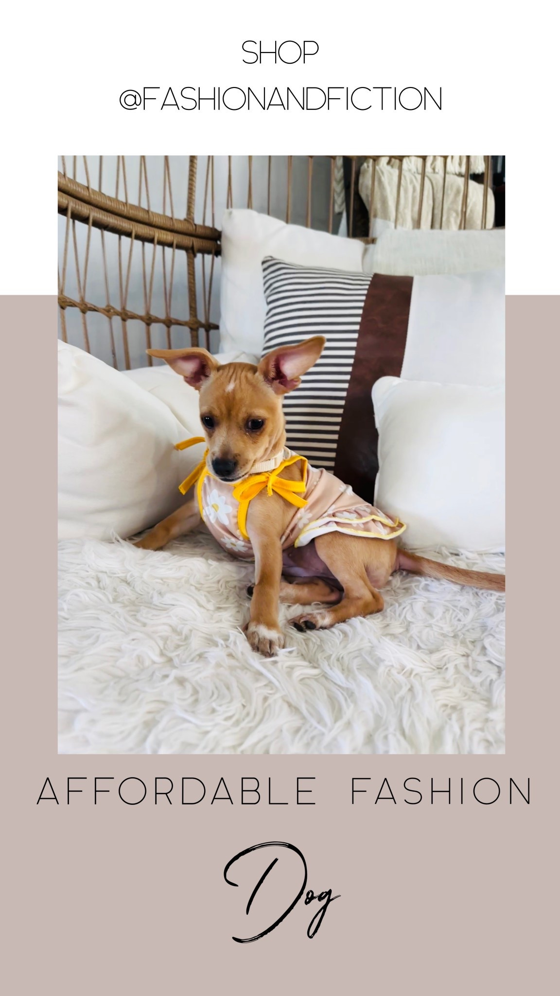 Cute 4 piece set for dogs. 2 tees and 2 dresses. Super lightweight. Perfect for summer  