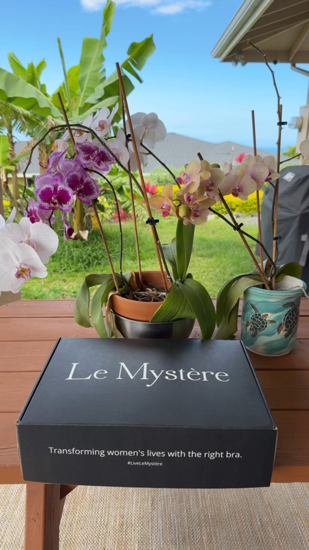 A little luxury goes a long way—especially when it comes to everyday essentials. Thank you @lemystere for the beautiful gift box of bras and undies. Supportive, flattering, and so thoughtfully made—I’m obsessed! #LeMystere 

#LTKFindsUnder100 #LTKWedding #LTKGiftGuide