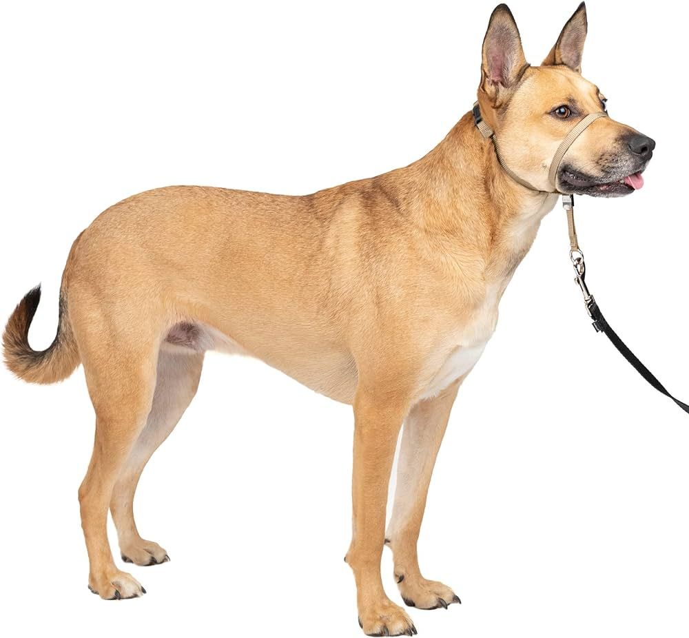 PetSafe® Gentle Leader® Headcollar, No-Pull Dog Collar, Medium 25-60 Lb., Fawn | Amazon (US)