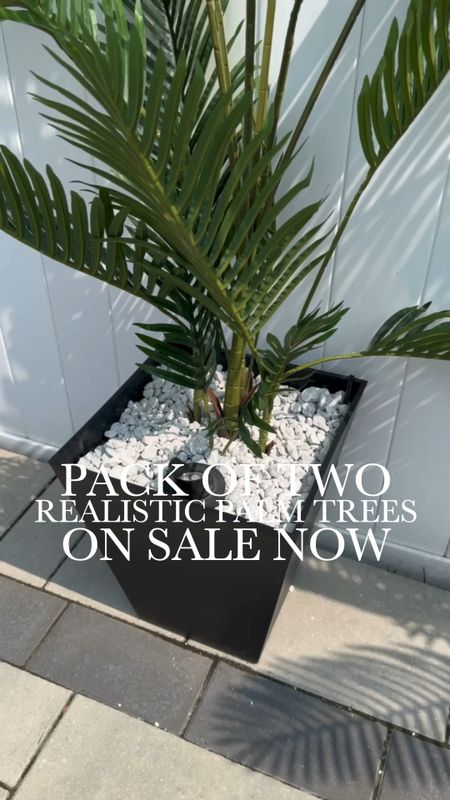 Realistic looking outdoor palm trees, landscape lighting, uplights, black veradek modern planter, marble chips, patio decor, tropical decor

#LTKhome #LTKMostLoved #LTKsalealert