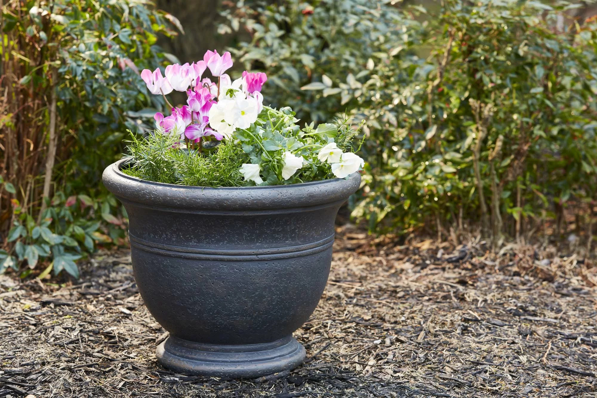 Southern Patio® 19" Jean Pierre Planter, Brownstone & Reviews | Wayfair | Wayfair North America