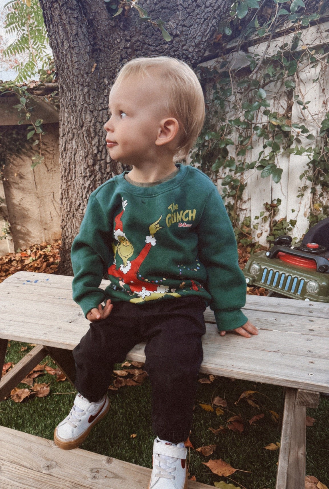 The cutest toddler Grinch outfit for the holidays 💚🎄Target find! 
Sharing the exact sweatshirt, pants + shoes he’s wearing. Perfect for Christmas photos or festive days out!

#LTKKids #LTKGiftGuide #LTKBaby