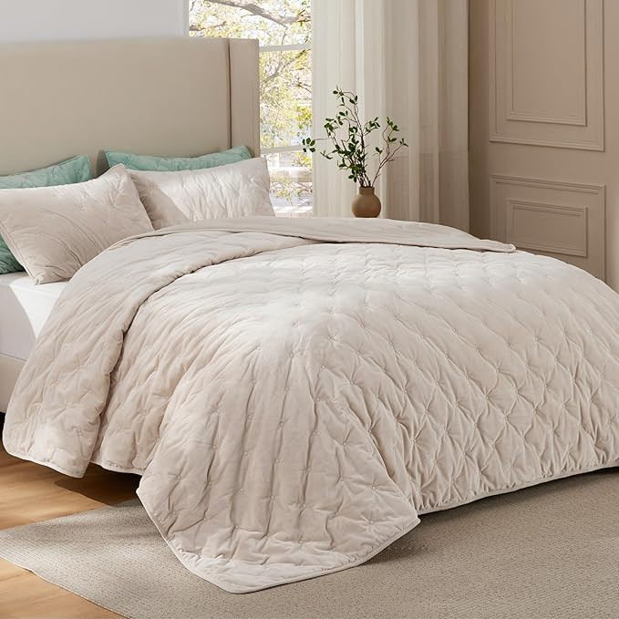 Bedsure Velvet Fleece Comforter Set Queen, Beige Lightweight Quilted Bedding Set, Soft Warm Blank... | Amazon (US)