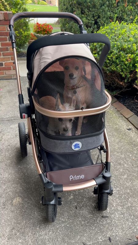 HPZ PetRover Prime 3 in 1 Pet stroller - the carriage doubles as a carrier and car seat - dog stroller - Amazon Pets - Amazon Finds 

#LTKfamily #LTKSeasonal #LTKhome