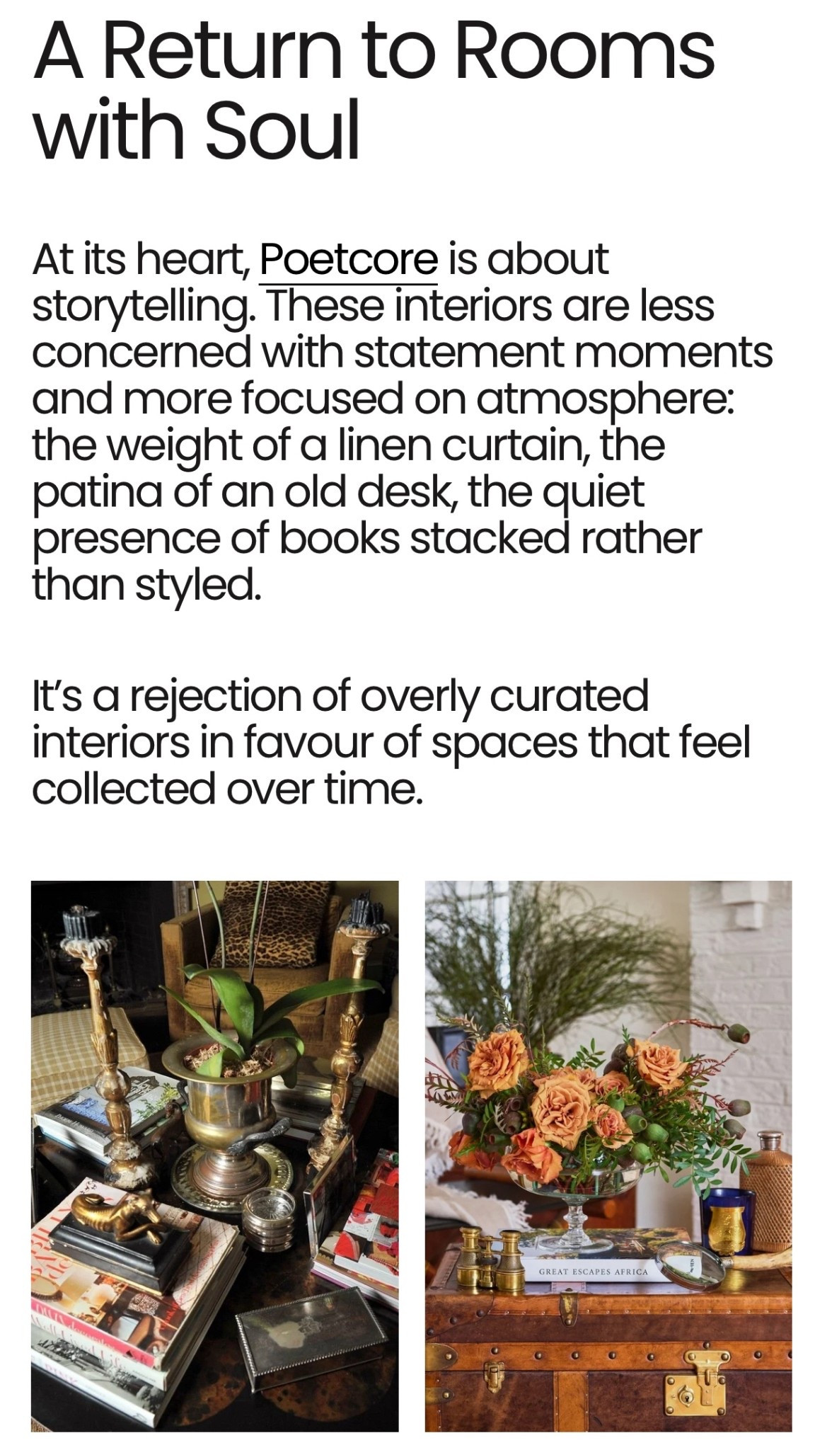 Poetcore is 2026’s hottest trend 📚🔥 Add a little romance to your life and home with a curated collection of antique and vintage looks! #poetcore #europeaninteriors #classicchic #frenchinterior 

#LTKU #LTKHome #LTKdayinmylife