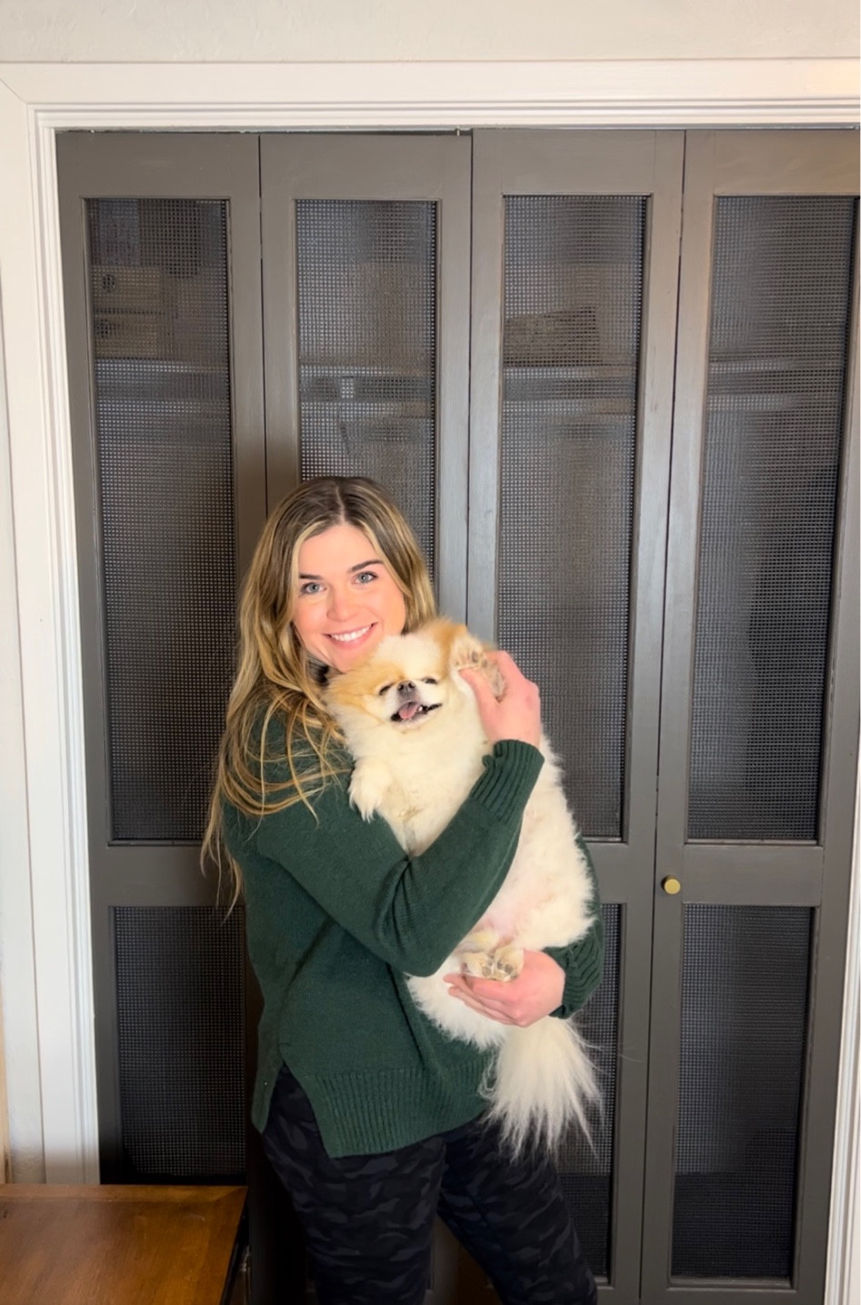 All the products I used to transform these bifold doors! This DIY project was so fun and CHEAP! #LTKDIY 

#LTKFind #LTKhome #LTKunder50