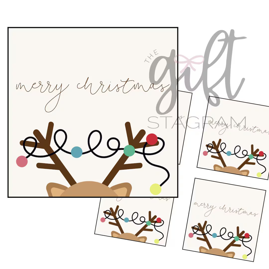 Merry Christmas Gift Tag | DIGITAL DOWNLOAD | Happy Holidays Gift Tags | Christmas Gift Idea | Cu... | Etsy (US)