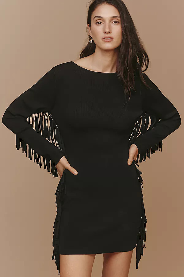 Long-Sleeve Fringe Sweater Mini Dress | Anthropologie (US)