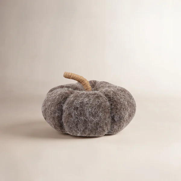 Felt Pumpkin With Jute Wrapped Stem | Wayfair | Wayfair North America