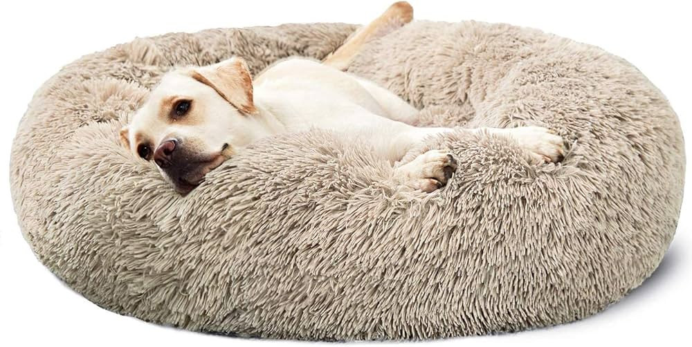 HACHIKITTY Dog Beds Calming Donut Cuddler, Puppy Dog Beds Large Dogs, Indoor Dog Calming Beds Lar... | Amazon (US)