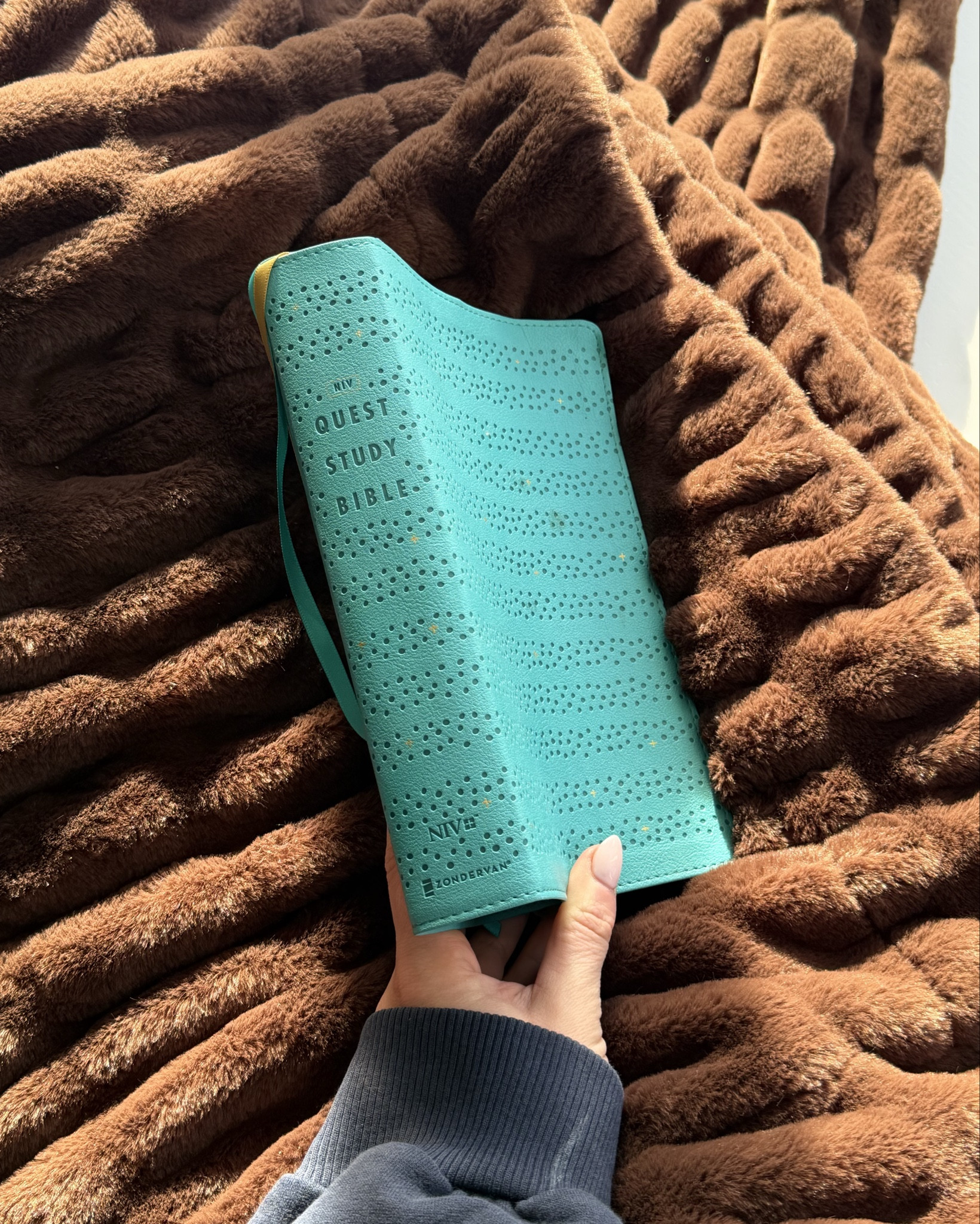 Study Bible 
