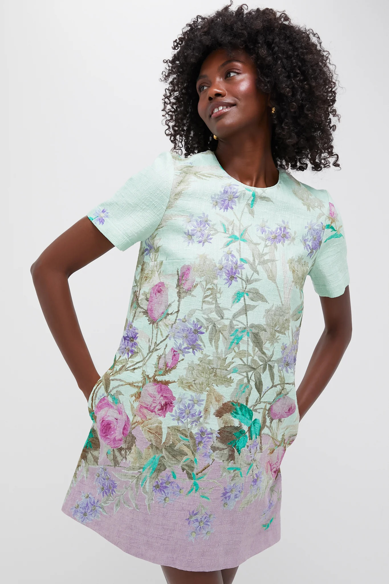 Heath Placee Mini Swing Dress | Tuckernuck (US)