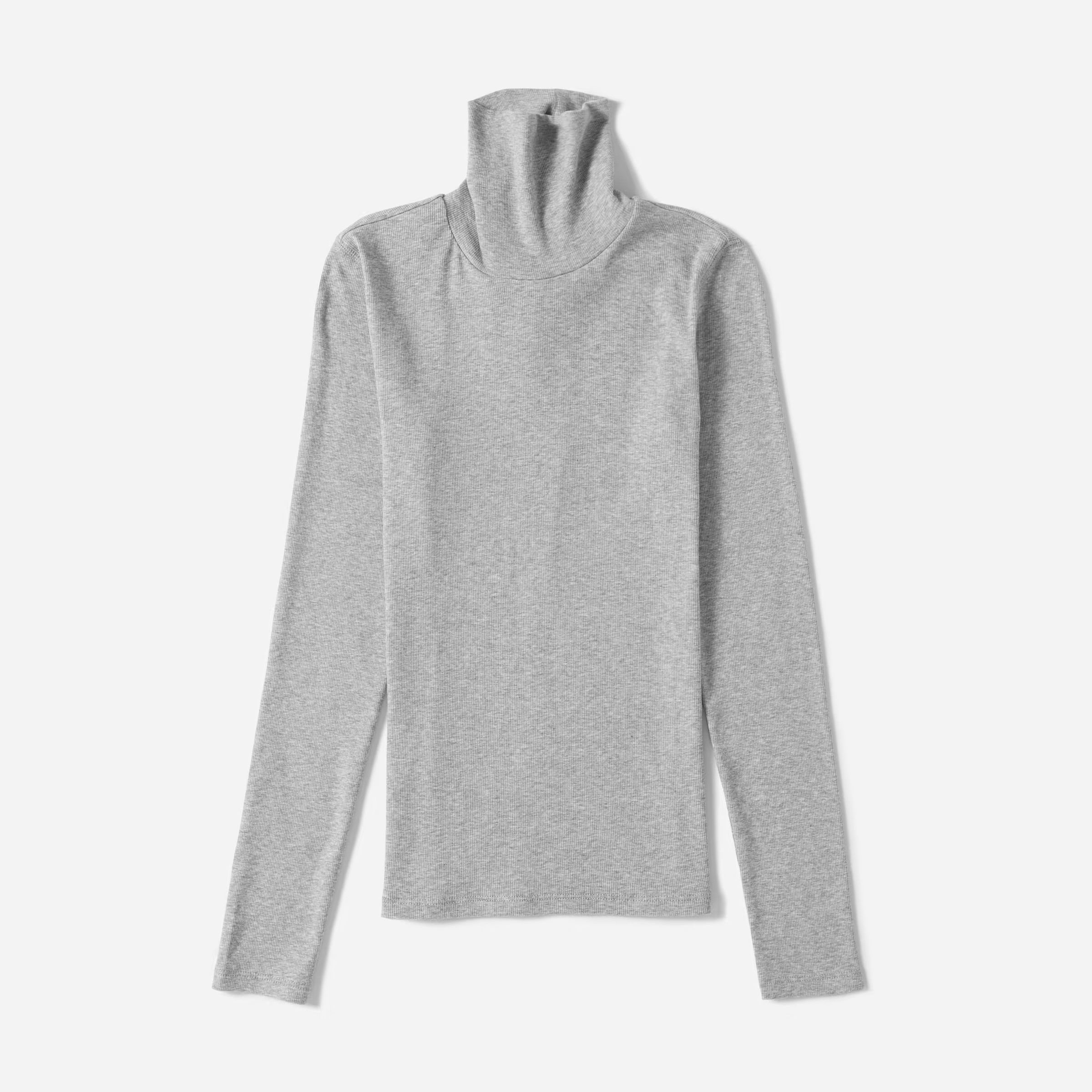 The Pima Micro-Rib Turtleneck | Everlane