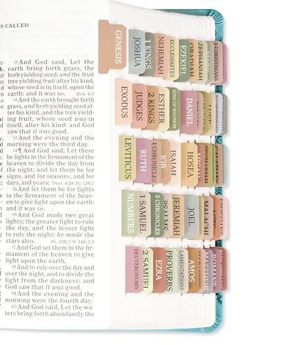 Bible Tabs for Women & Men, Laminated Bible Tabs for Study Bible, Boho Theme Bible Tabs for Easy Navigation, Simplify Your Bible Reading Experience with Easy-to-Use Indexing Tabs | Amazon (US)