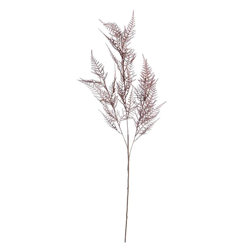 Brown Asparagus Leaves Spray, 34" | At Home