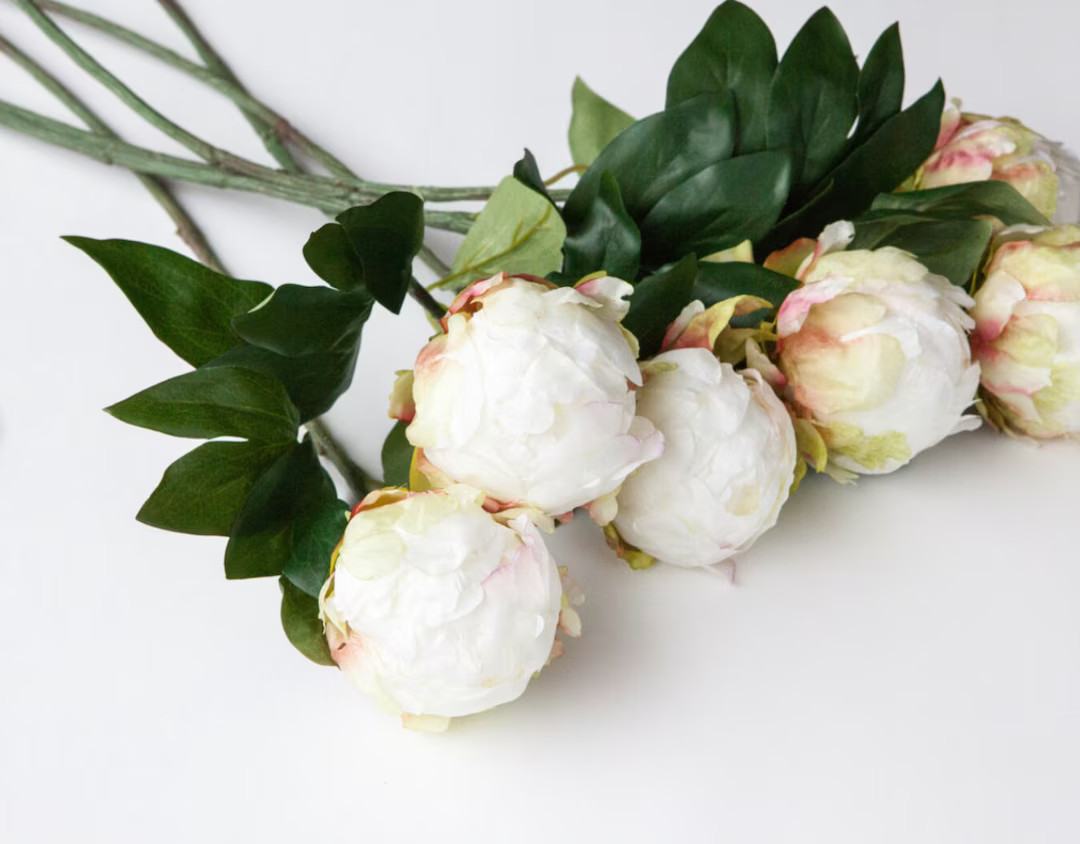 ONE Shabby Chic Peony Bud in Cream on STEM - 18 Inch Stem - Artificial Silk Flowers - Use for Bou... | Etsy (US)