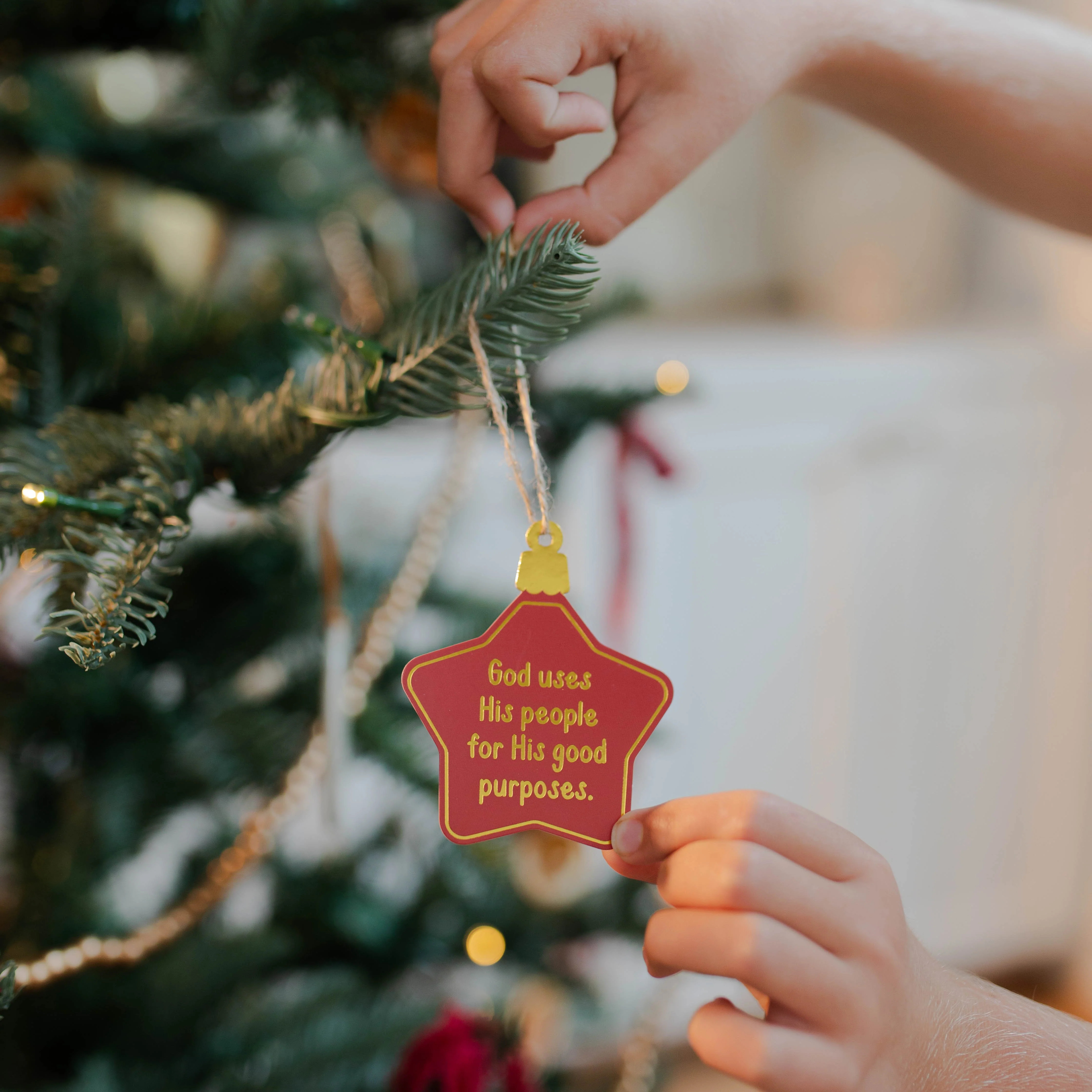 More Than a Manger Ornaments | The Daily Grace Co.