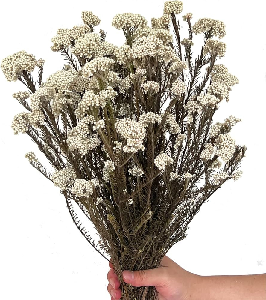 17 Inches Natural Dried Millet Flower Bouquet for Decor, 22-25 Stems Home and Wedding Decoration ... | Amazon (US)