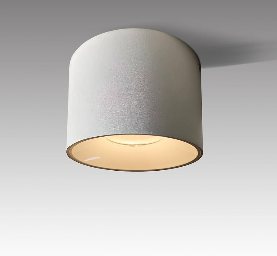 LED Dimmable Ceiling Spotlight Aluminum White 4.72" Cylinder Spot Light Indoor Modern Minimalist ... | Amazon (US)