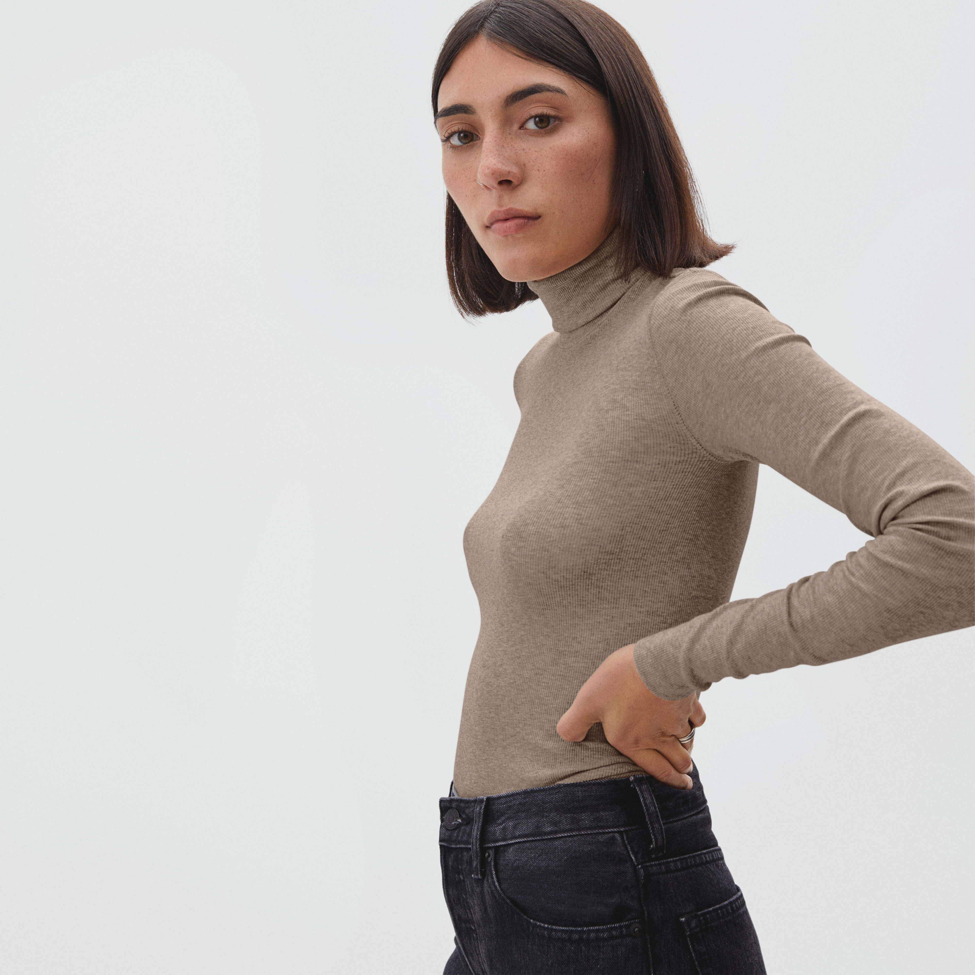 The Pima Micro-Rib Turtleneck | Everlane