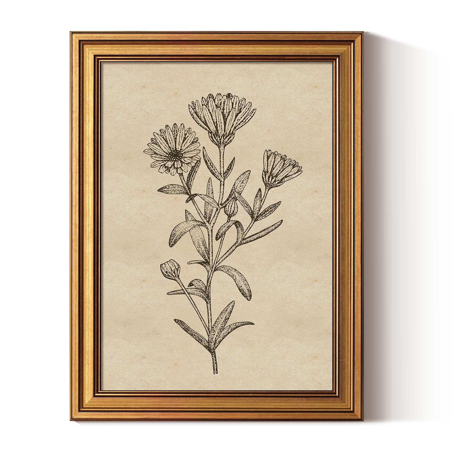 ARPEOTCY Gold Framed Canvas Art Prints,12x16inch, Botanical Wildflower Art Painting, Vintage Coun... | Amazon (US)
