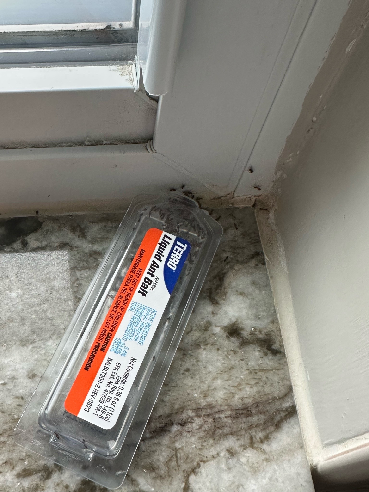Terro Ant Bait draws the ants in and they take the poison back to their nest and kills them all. Nothing I trust more!!

#LTKdayinmylife #LTKSeasonal #LTKHome