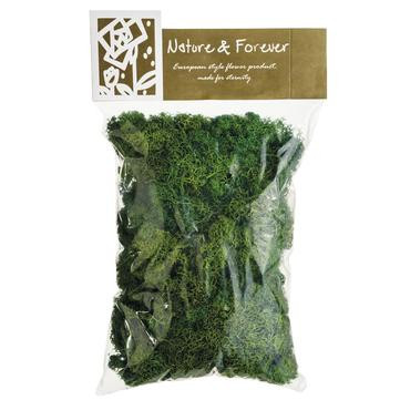 Assorted Preserved Reindeer Moss in Bag | Megan Molten