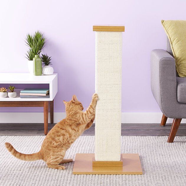 SMARTCAT The Ultimate 32-in Sisal Cat Scratching Post, Beige - Chewy.com | Chewy.com