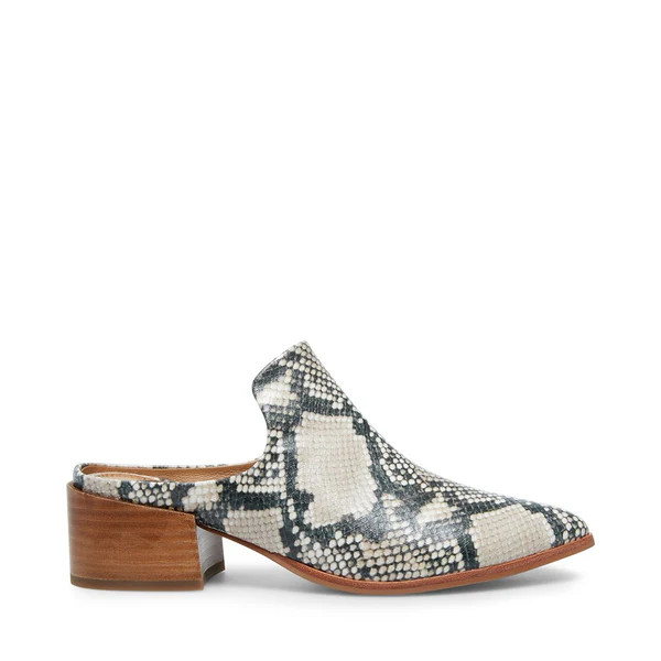 DAKOTA-S NATURAL MULTI | Steve Madden (US)