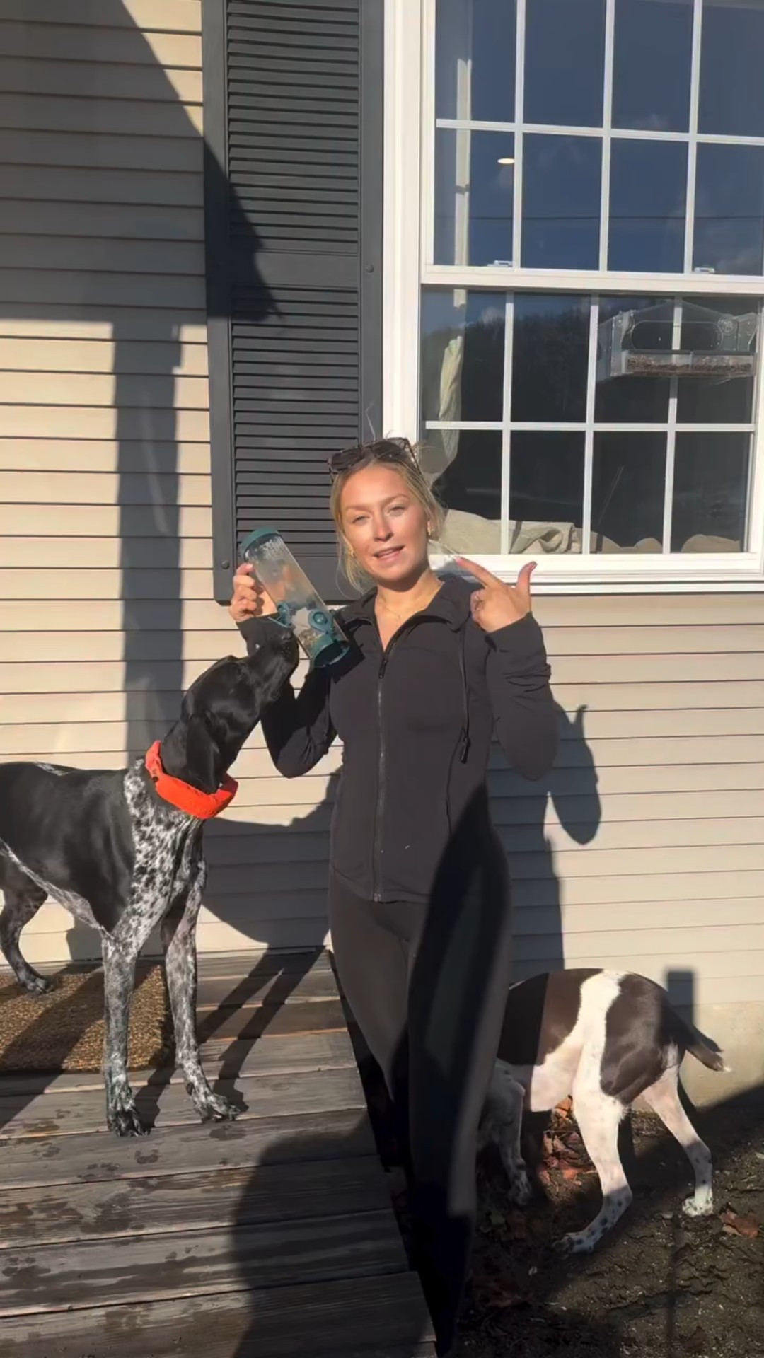 There goes the back of our couch 🦜👀🫣

Jokinggg we always fluff it back up after they take it over 😅

#gsp #birddog #gsplife