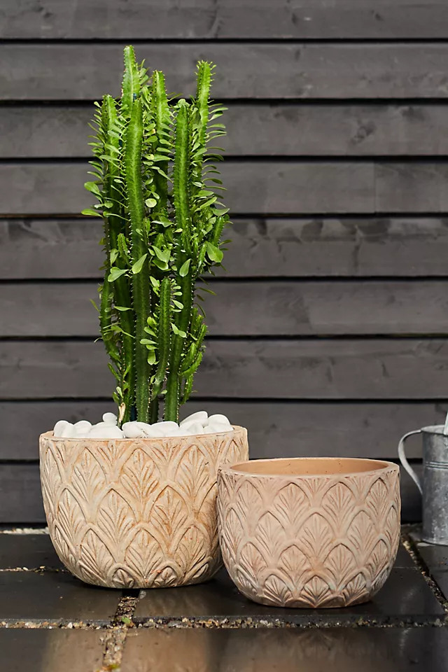 Textured Botanicals Ceramic Planter | Anthropologie (US)