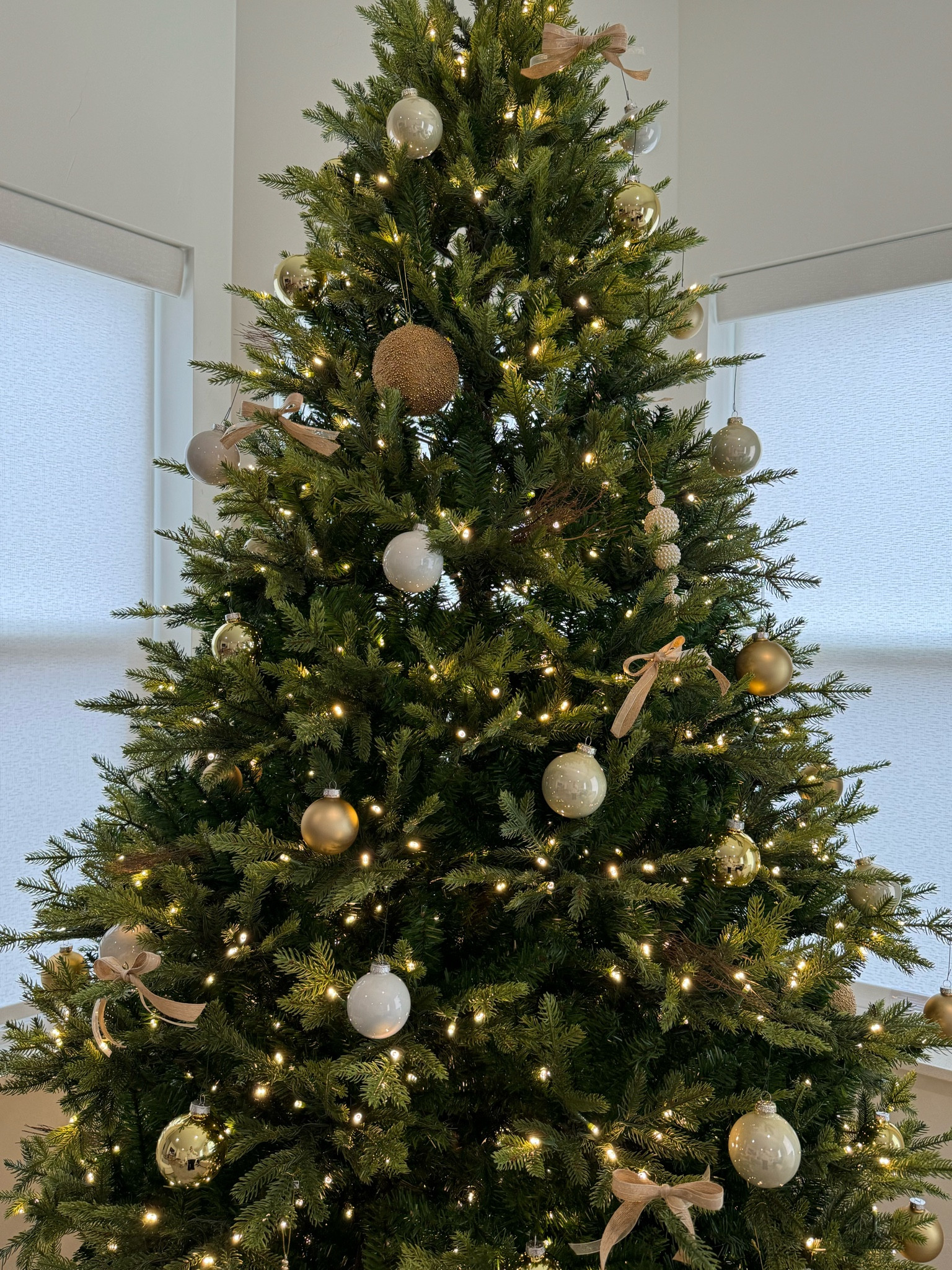 christmas tree !! 

#LTKhome #LTKHoliday #LTKSeasonal