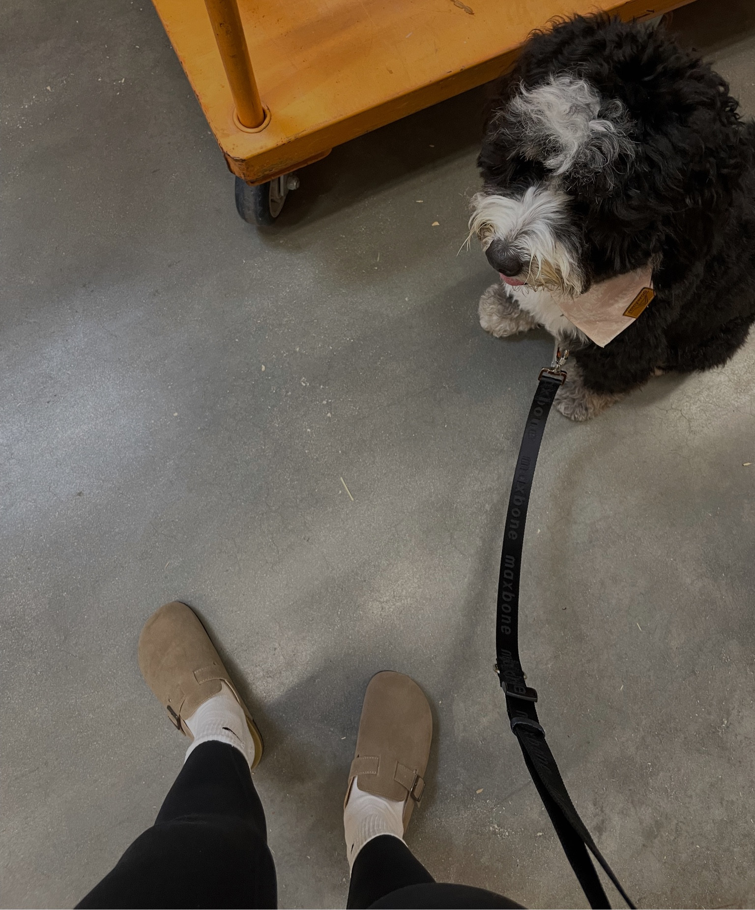 Amazon Birkenstock Clog dupes 

#LTKGiftGuide #LTKstyletip #LTKfindsunder50