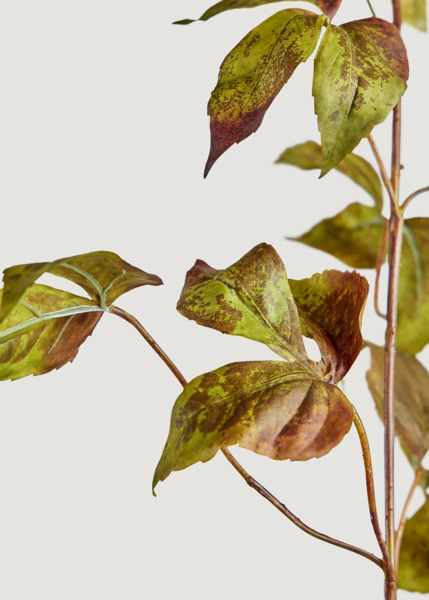 Eggplant Grape Ivy Leaf Branch | Faux Branches for Fall | Afloral.com | Afloral