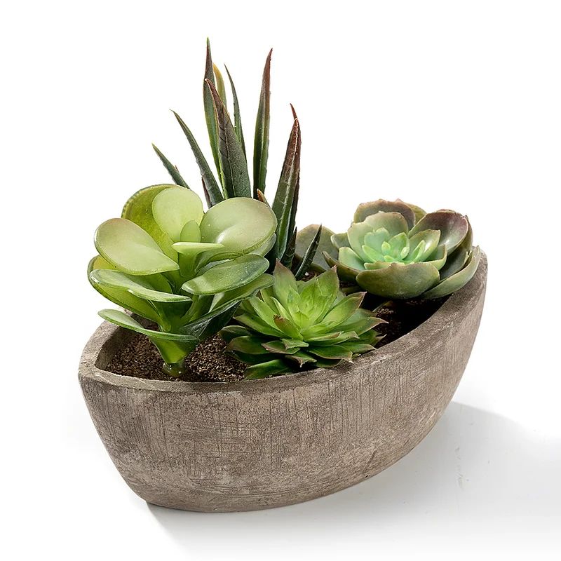 4 -Piece 3" Artificial Succulent Plant In Pot Set | Wayfair North America
