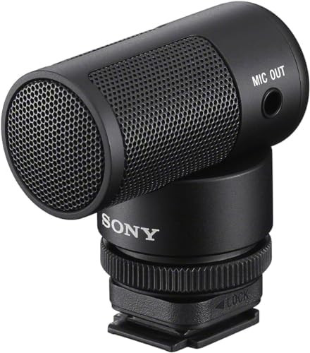 Sony Vlogger Shotgun Microphone ECM-G1, Auxiliary | Amazon (US)