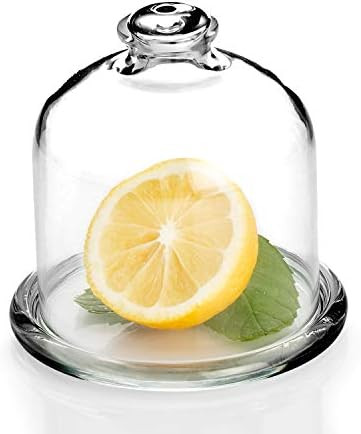 Glass Lemon Dish with Lid, Small Avocado Saver and Lemon Keeper, Clear Glass Bell Jar Dome with Plat | Amazon (US)