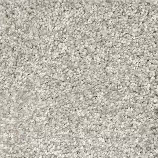 Home Decorators Collection Trendy Threads II - Color Chic Indoor Texture Beige Carpet-H0104-486-1... | The Home Depot