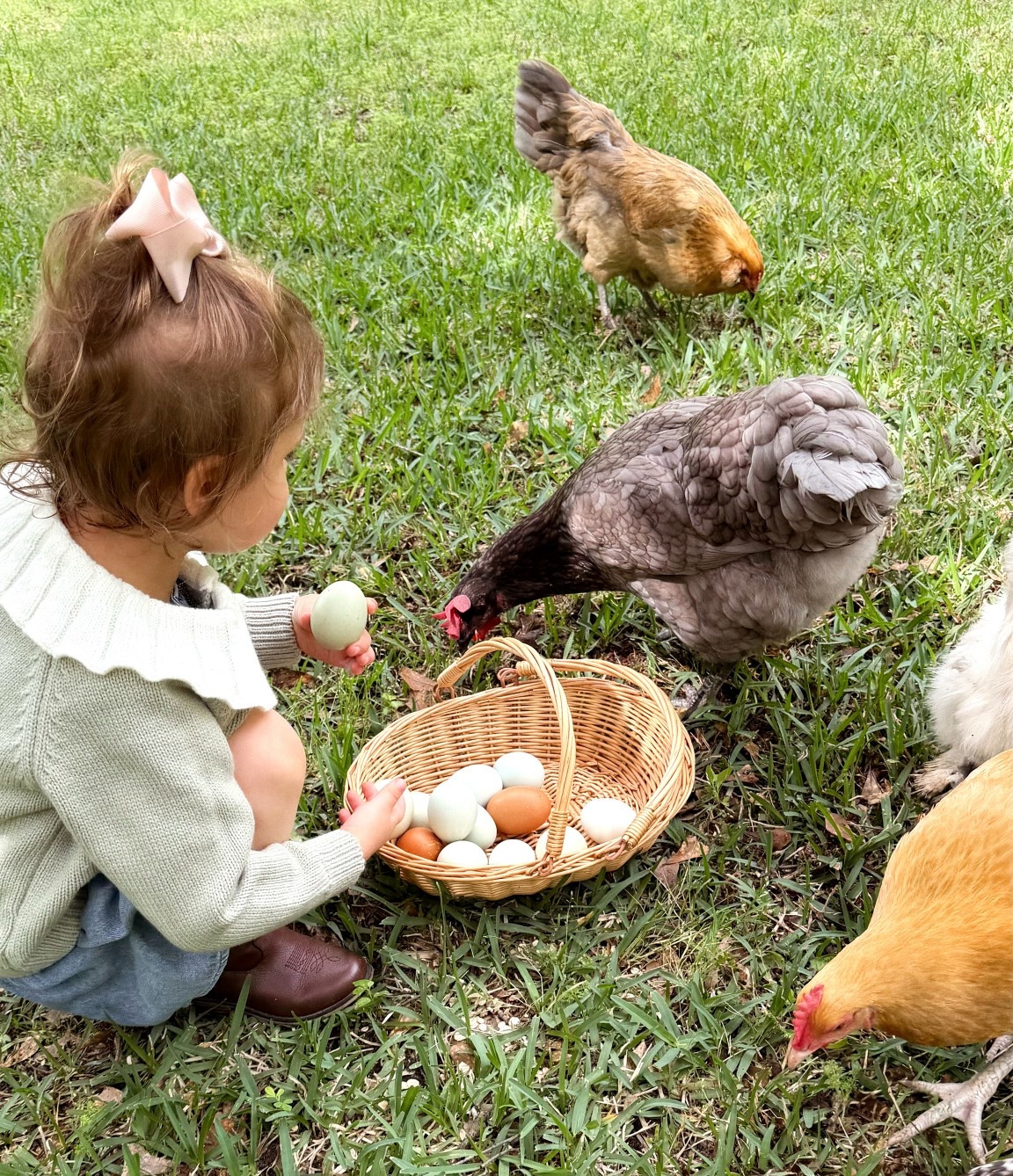 Wicker basket 
Toddler chicken sweater 
Amazon findss

#LTKKids #LTKdayinmylife