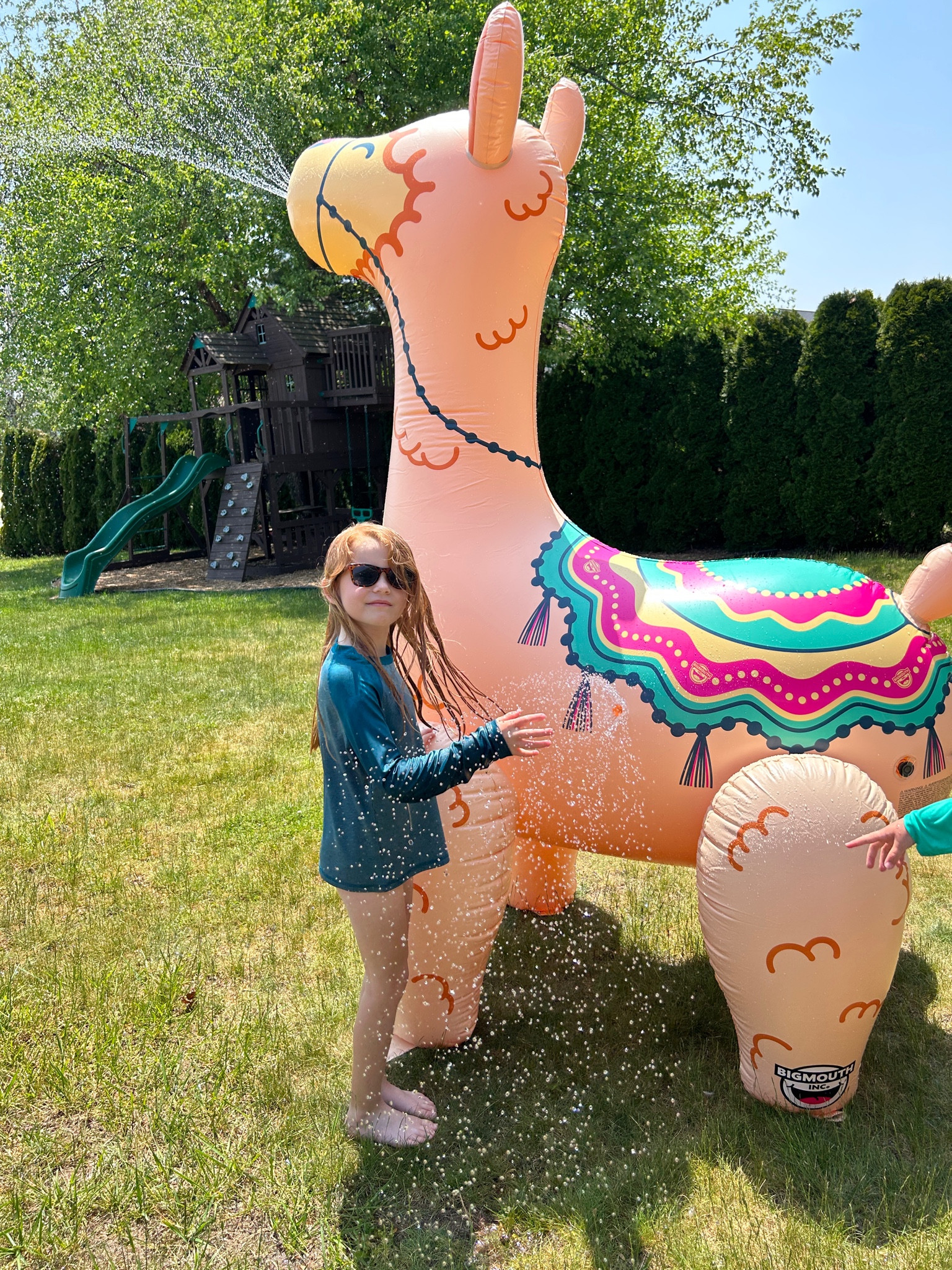 Llama sprinkler and some fun options from Walmart☀️